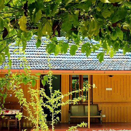 Marari Beach Pearl Homestay Mararikulam Exteriör bild